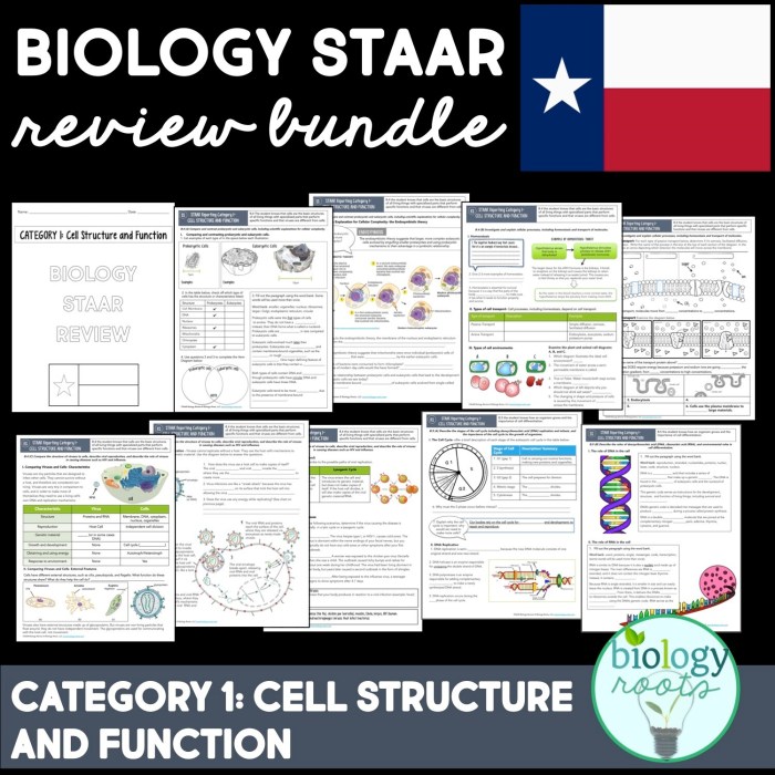 Staar blitz day 3 answer key