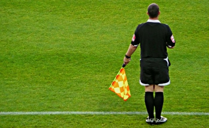 This person assists the referee