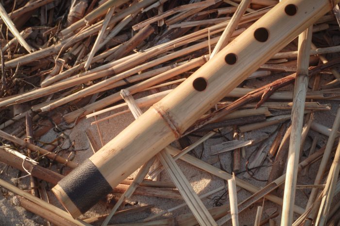 End blown bamboo flute with five holes