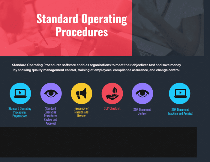 Audit overview mugisa