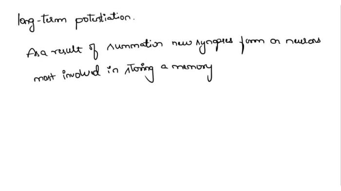 Term potentiation long memory study nmda neural potential synapse after guides choose board basis learning physiology increase