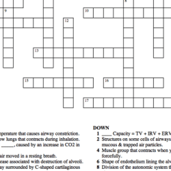 The nervous system crossword puzzle