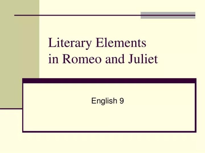 Literary elements in romeo and juliet