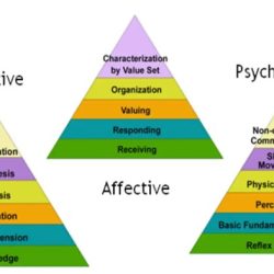 Cognitive skill-based affective results and return on investment are all