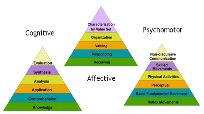 Cognitive skill-based affective results and return on investment are all