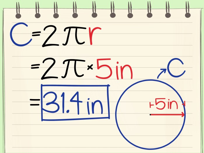 Perimeter circumference and area quiz part 1