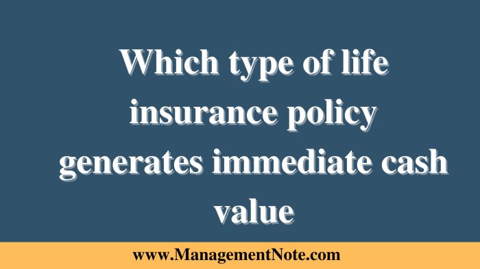 A life insurance policy would be considered a wagering