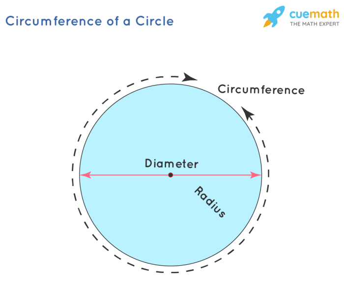 Perimeter circumference and area quiz part 1